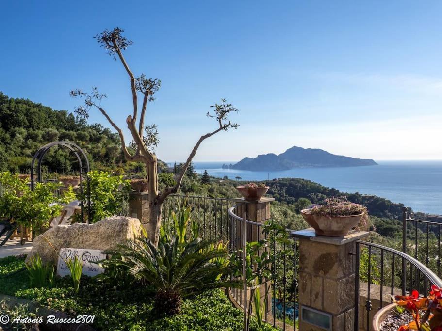Villa Capri Wonderful View Massa Lubrense Extérieur photo