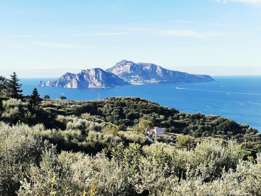 Villa Capri Wonderful View Massa Lubrense Extérieur photo